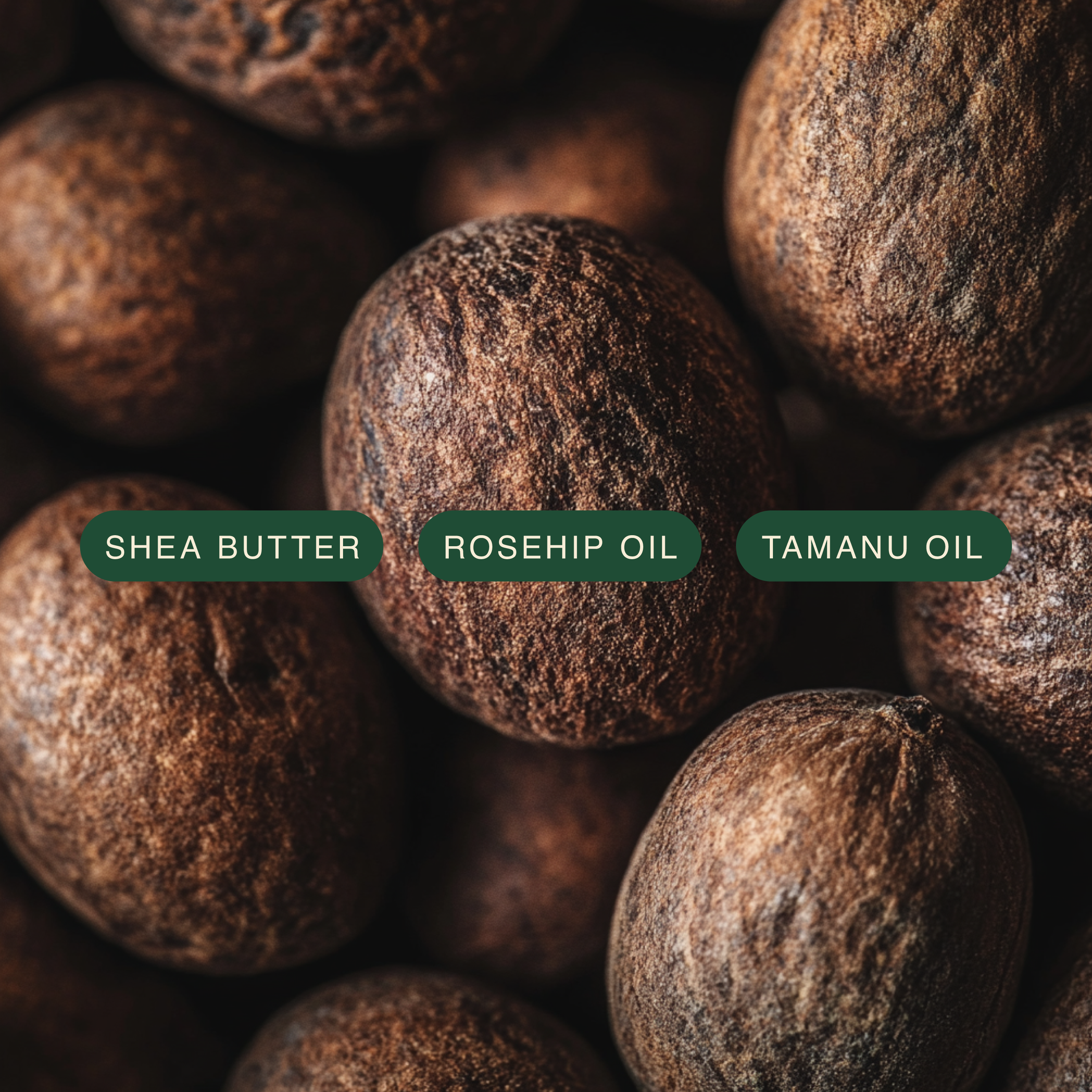 Rejuvenating Shea Body Butter